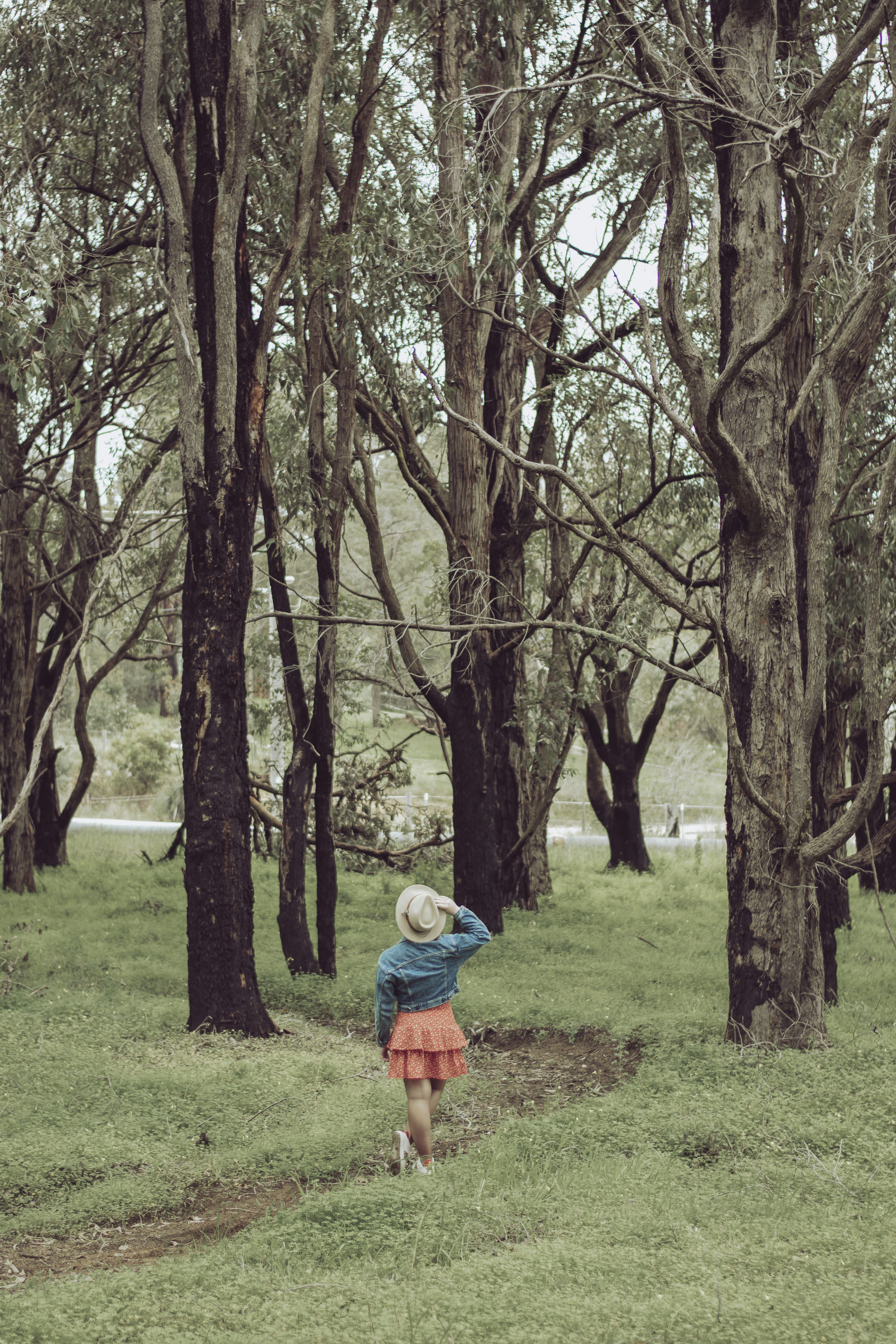 Photo by michellem18