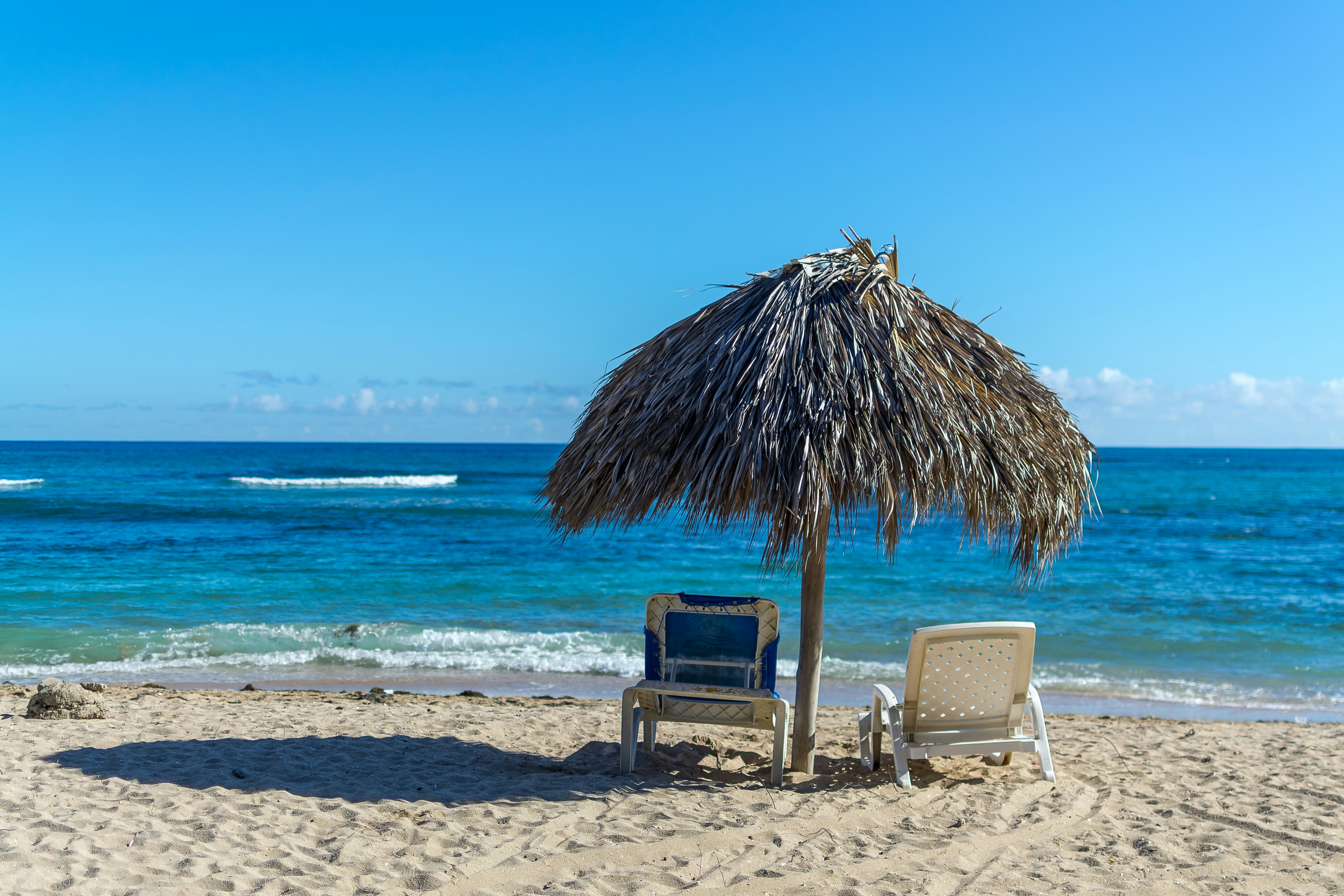 Traveling Sea Turtle – Cruise & Vacation Travel Agent's image