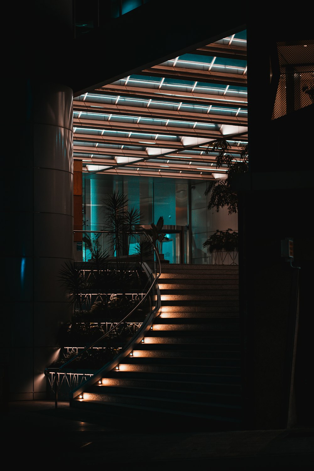 green palm tree near brown wooden staircase