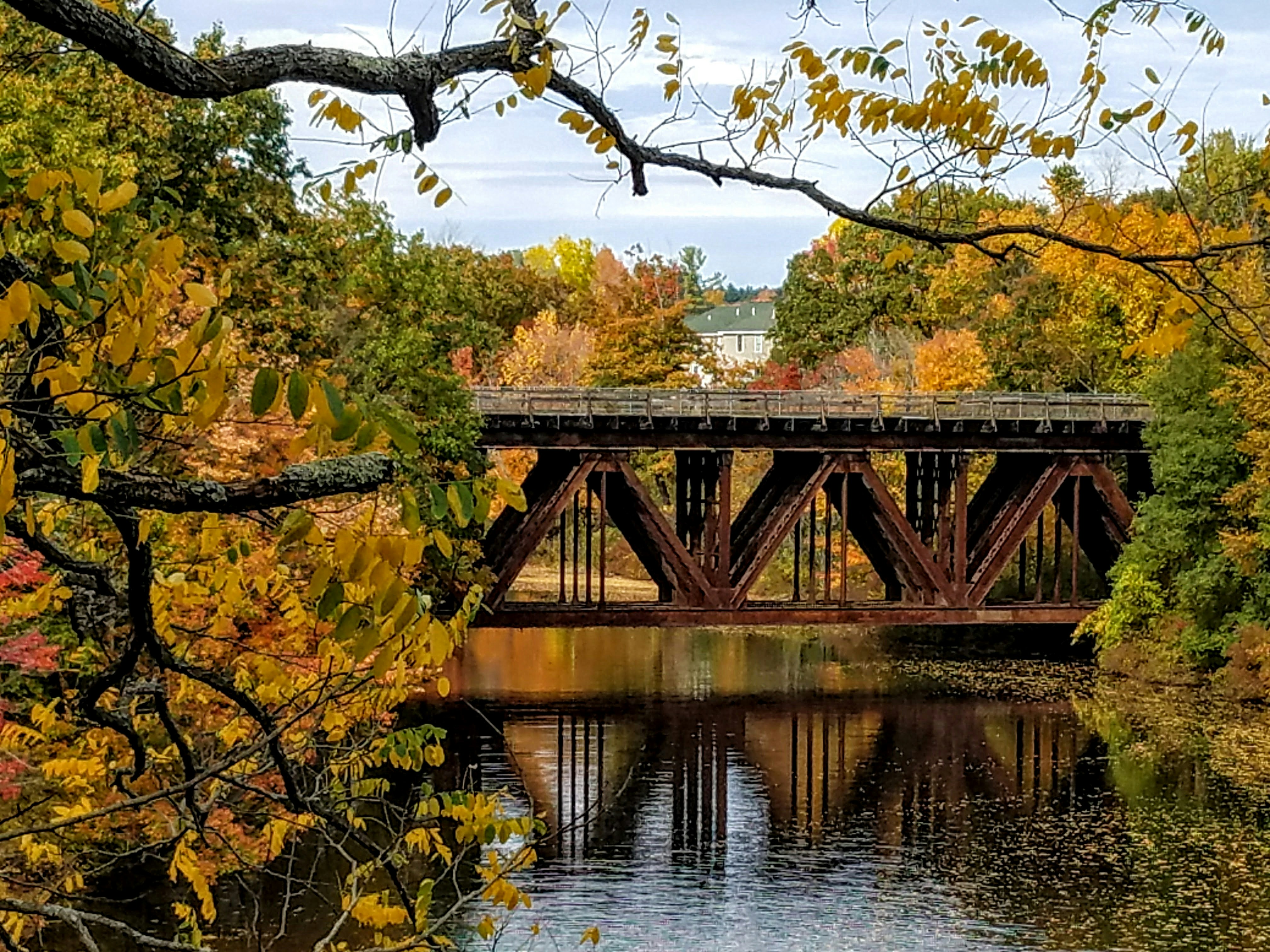 Photo by garnicanetwork