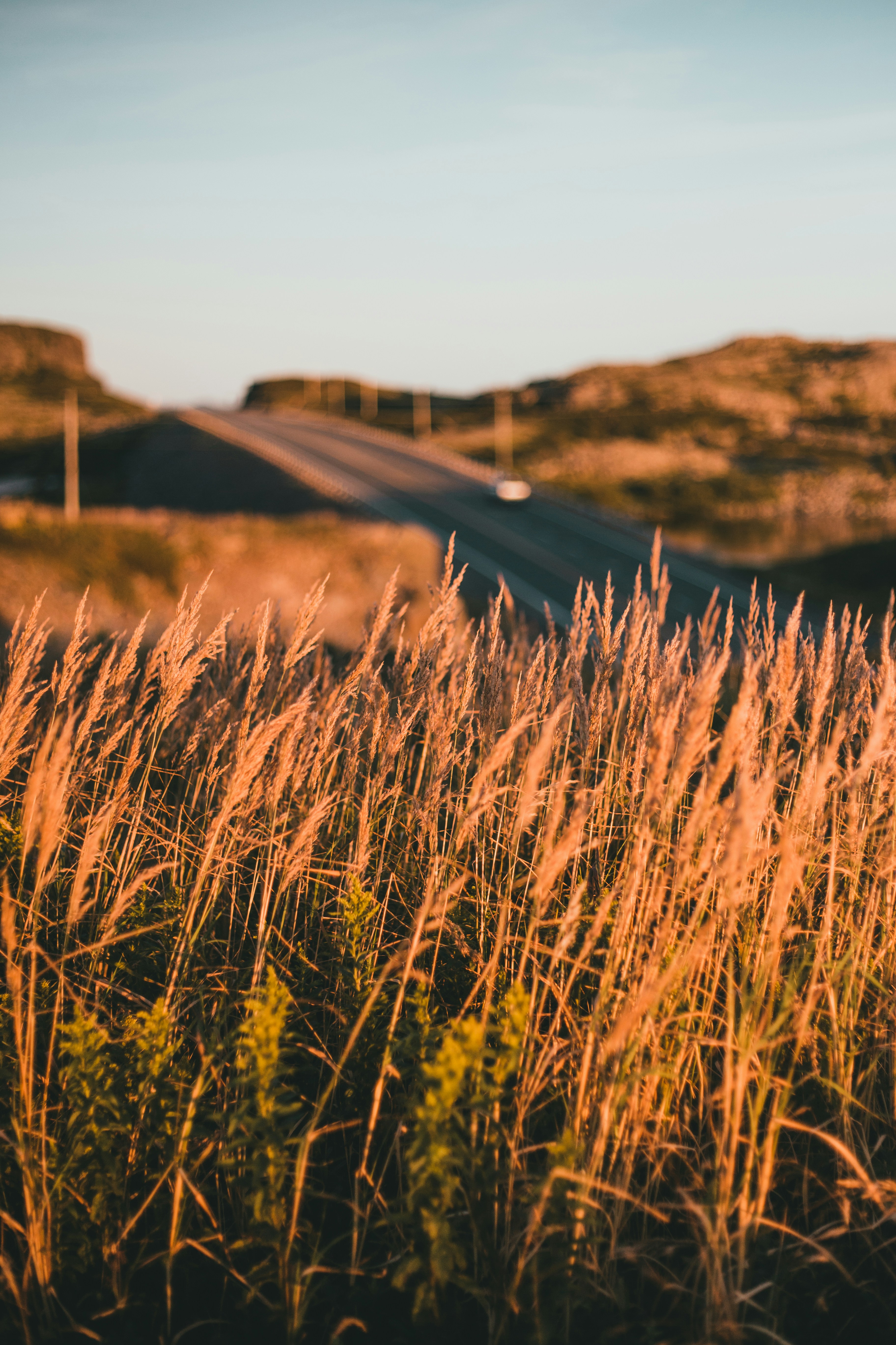 Photo by introspectivedsgn