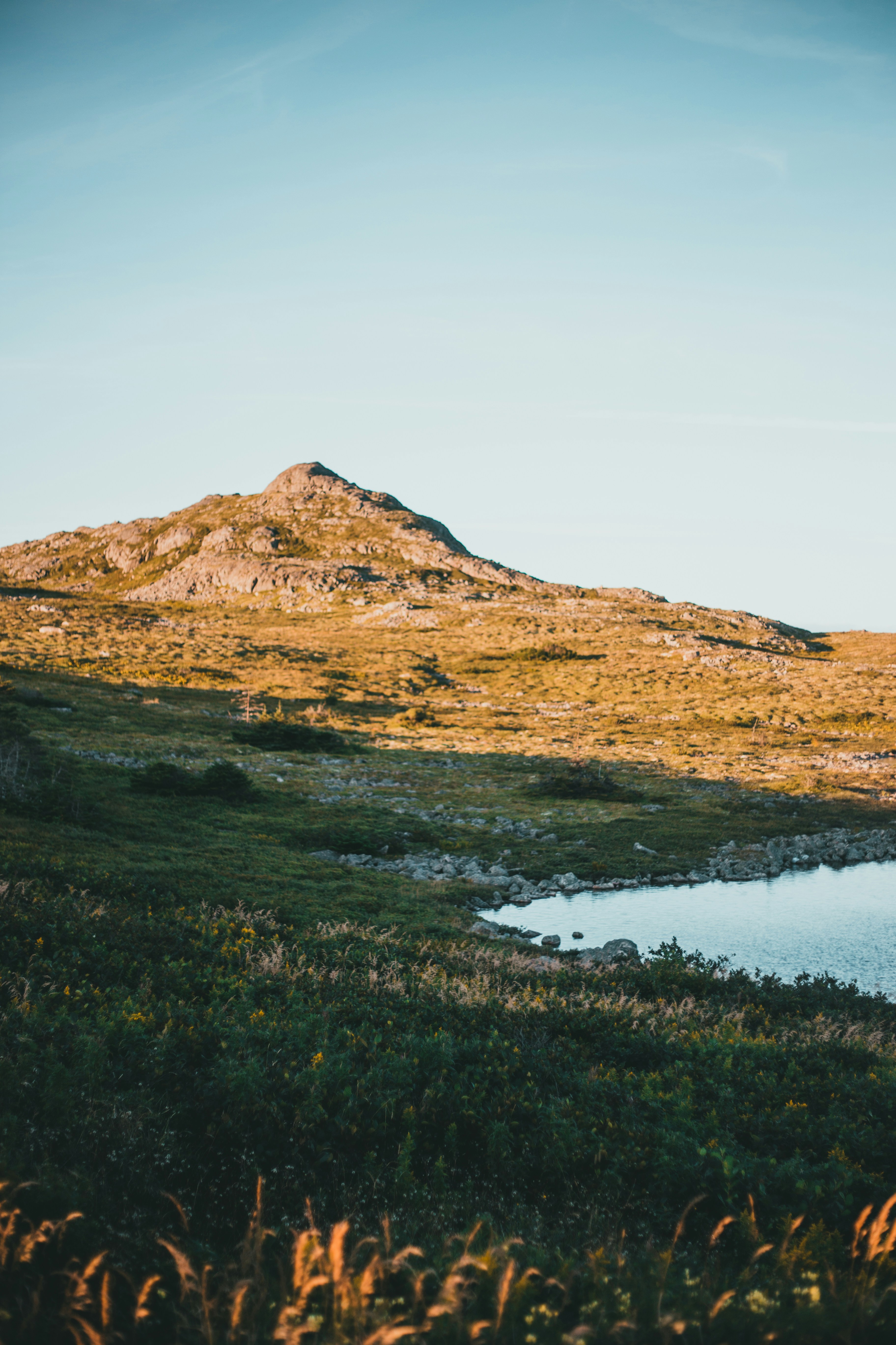 Photo by introspectivedsgn