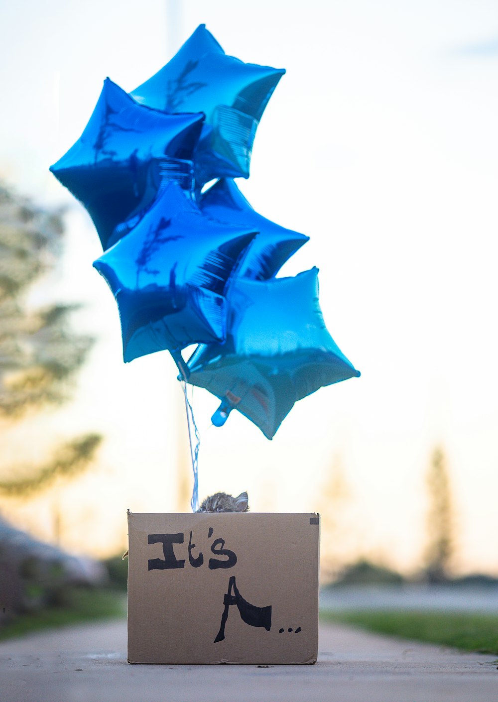 blue umbrella with i love you print