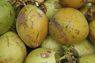 A close-up view of several coconuts with rough, textured surfaces. The coconuts vary in color from green to yellowish-brown, with some having patches and blemishes. They are grouped together, showing their natural, organic form.