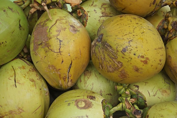 A close-up view of several coconuts with rough, textured surfaces. The coconuts vary in color from green to yellowish-brown, with some having patches and blemishes. They are grouped together, showing their natural, organic form.