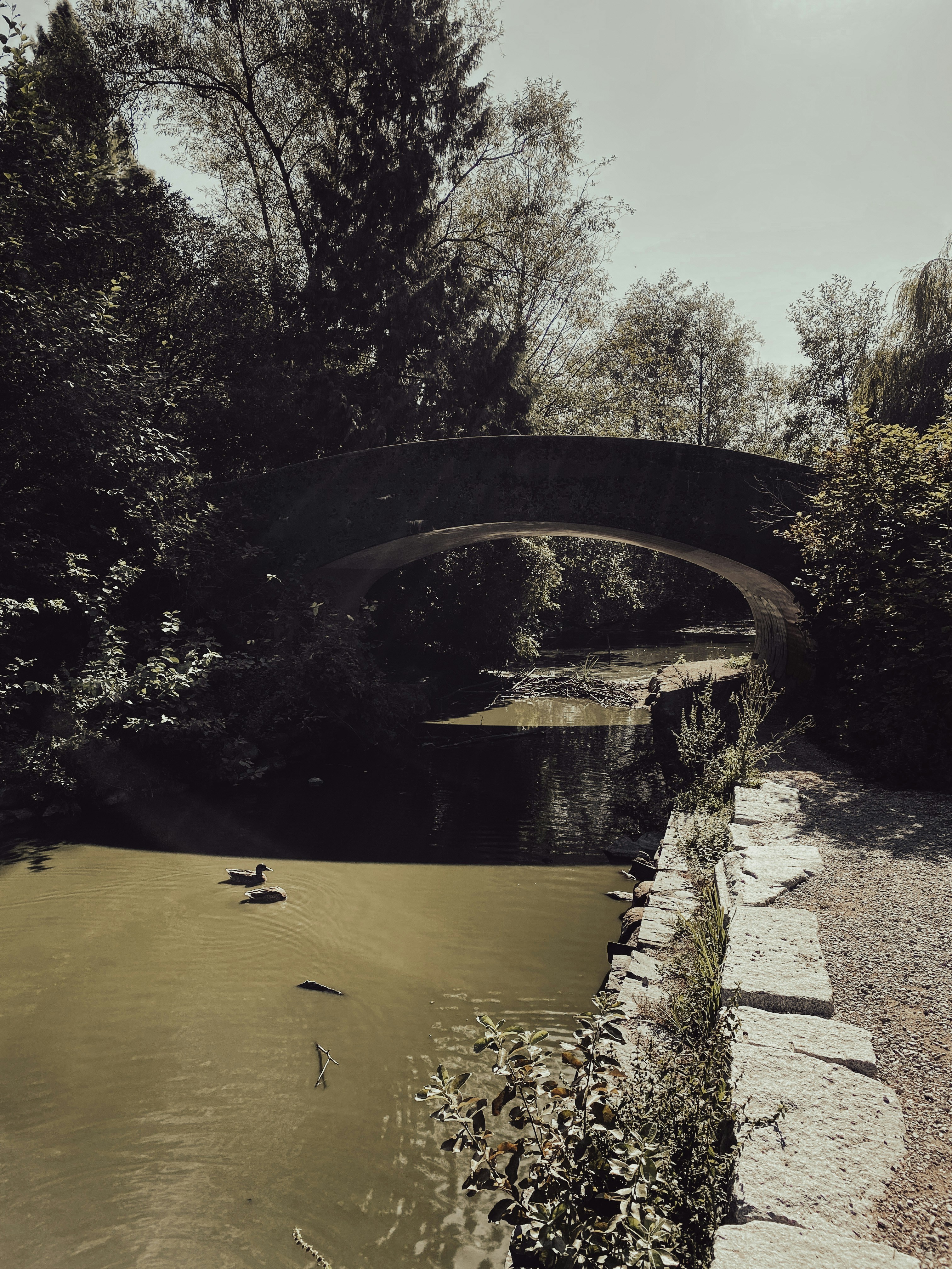 Photo by henriquepaim