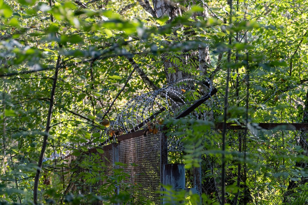 black metal hanging bridge over green trees