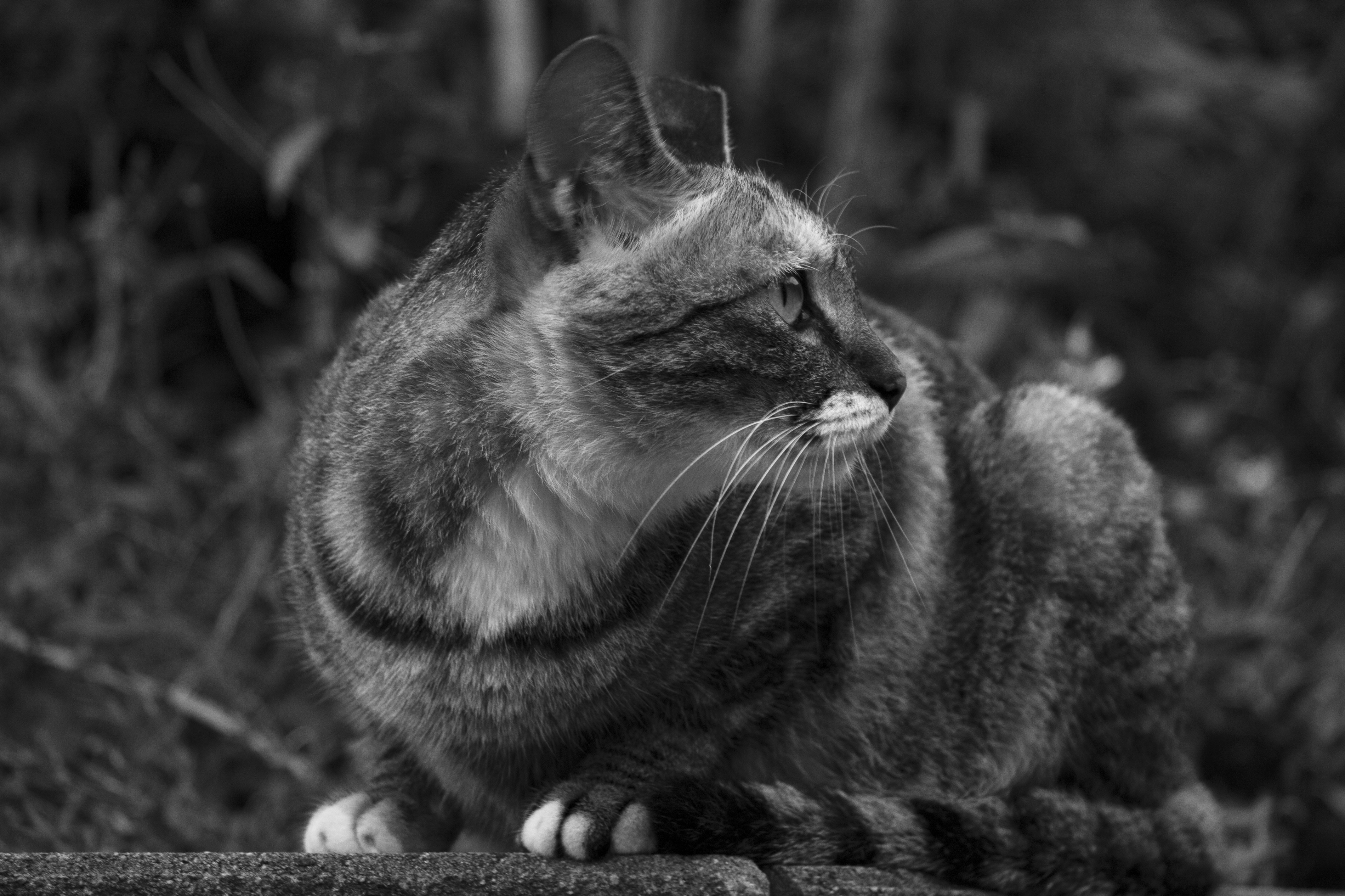 Photo by hwanginkeom