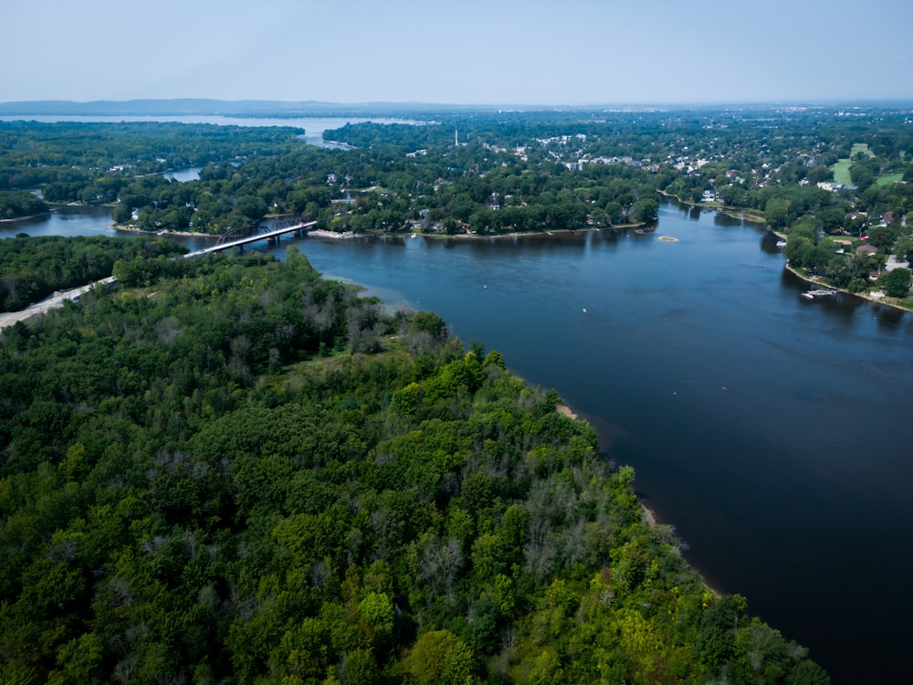 green trees near body of water during daytime