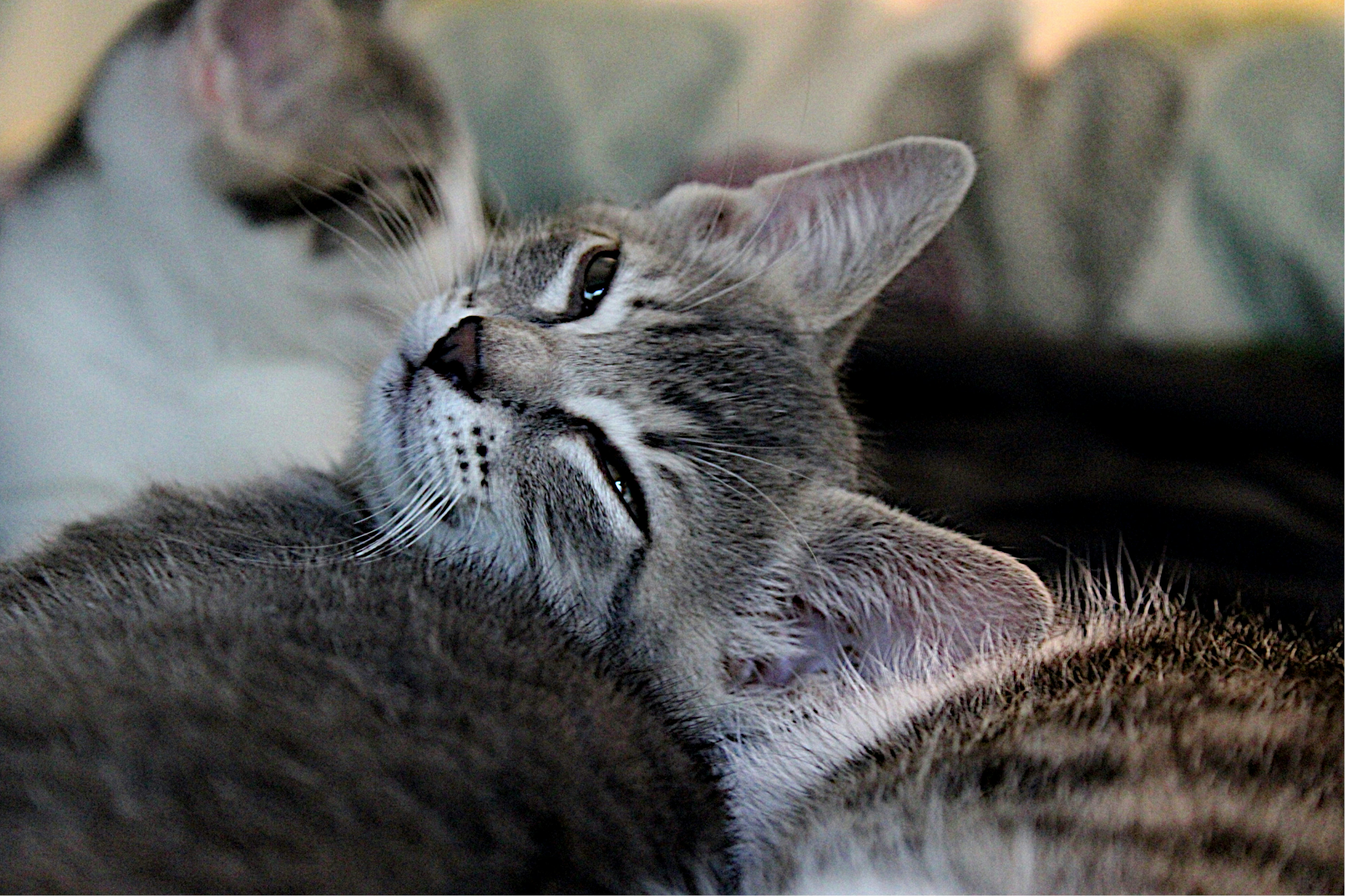 Photo by isaacstevenlind