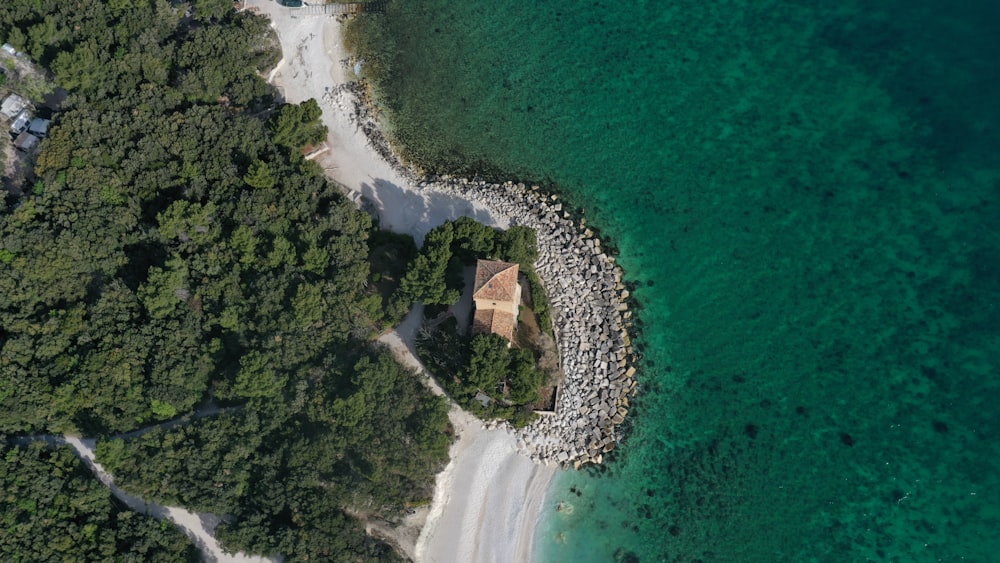 aerial view of green trees beside body of water during daytime