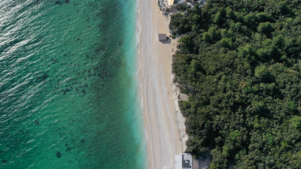 aerial view of beach during daytime