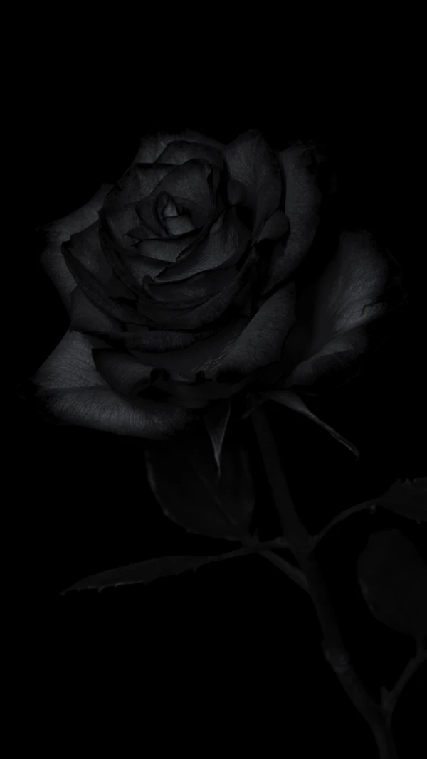 Bouquet di rose nere