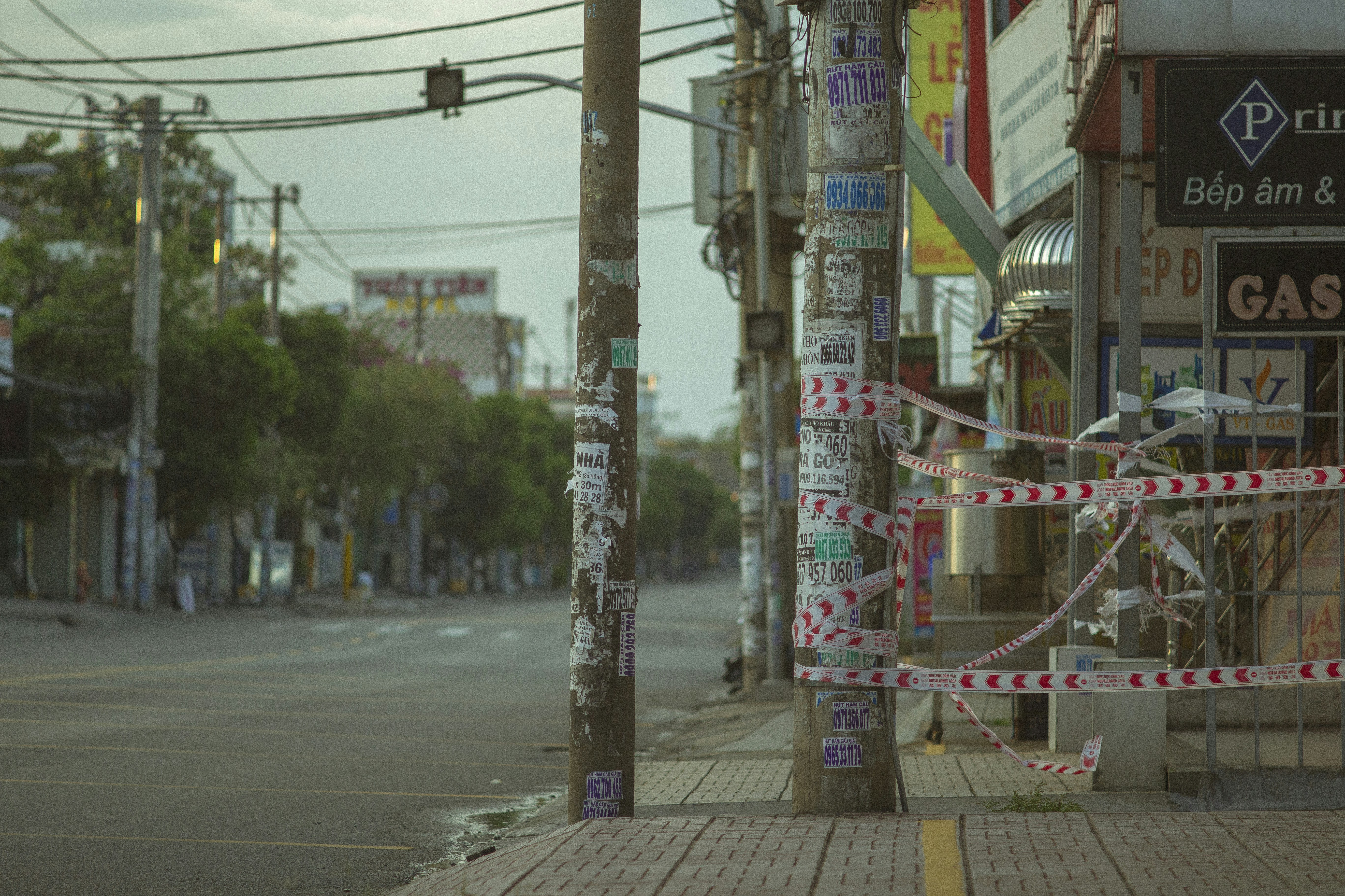 Photo by thanhtranpt