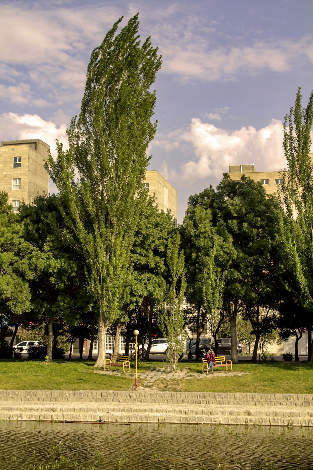 green trees near brown concrete building during daytime