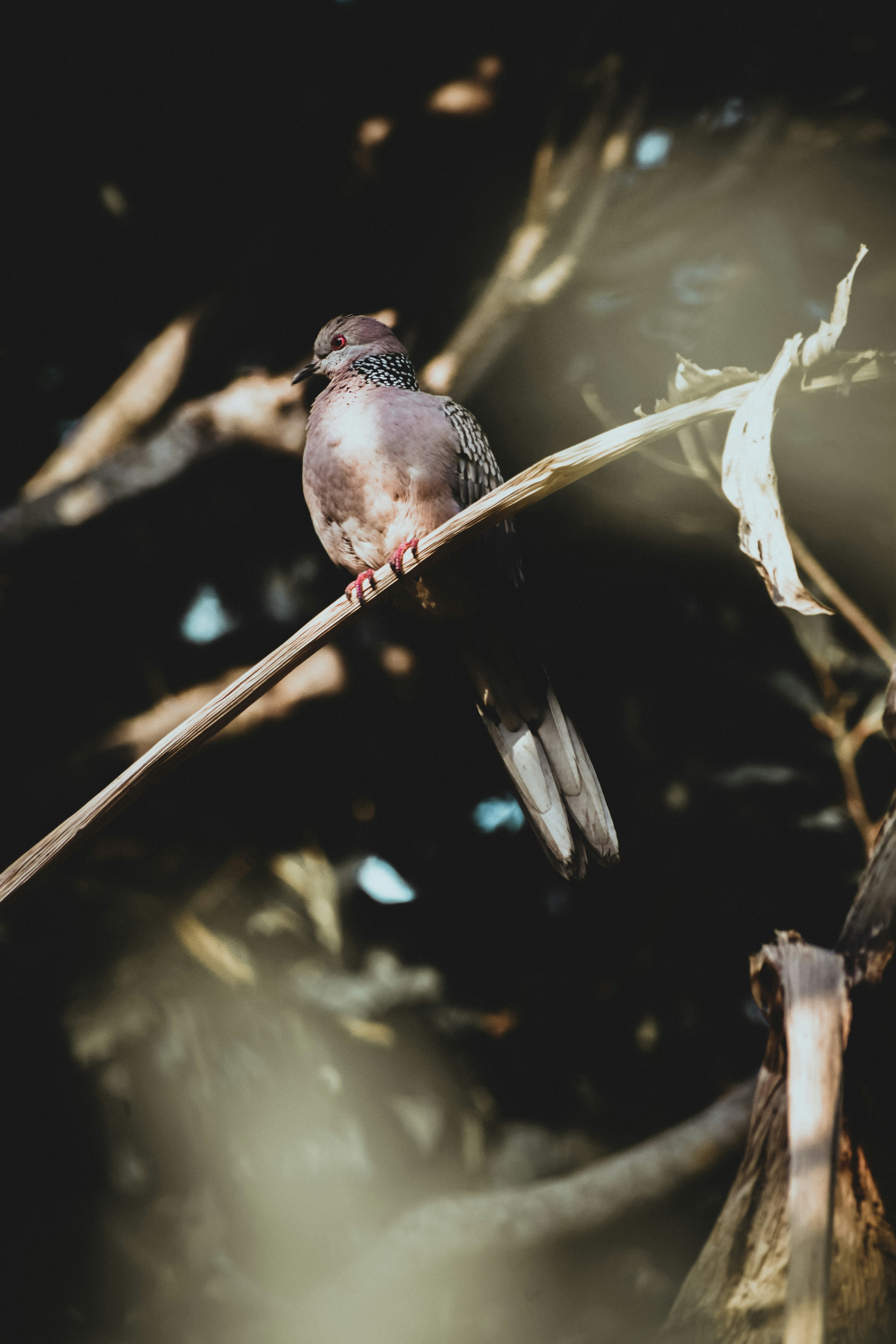 Photo by manjemnk17