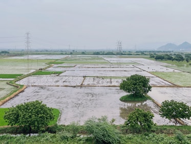 Expansive agricultural fields with visible waterlogged patches. A few trees are scattered across the landscape, and power lines with pylons stretch into the distance. The horizon shows a range of low hills under an overcast sky.