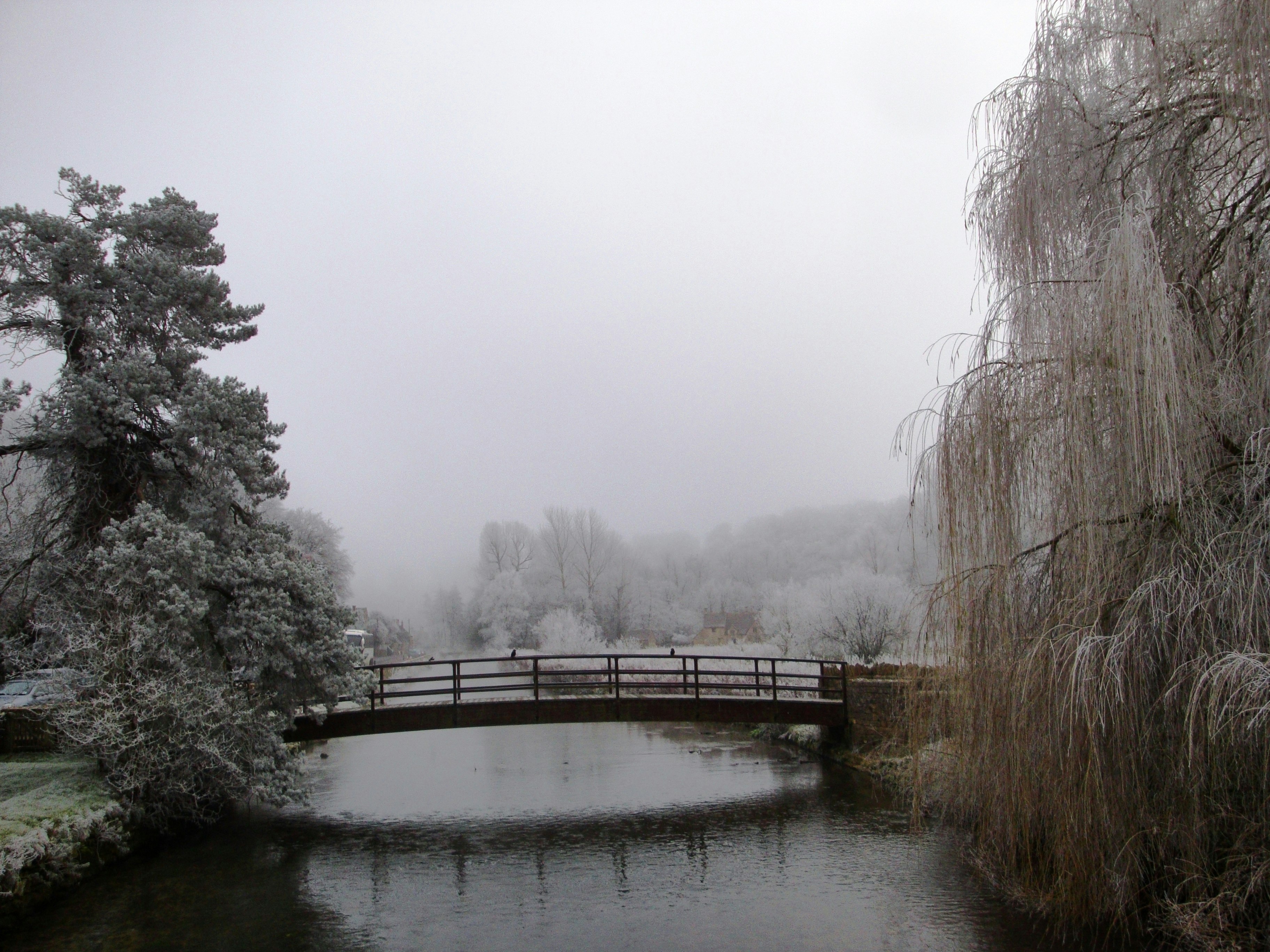 brown wooden bridge over river between bare trees during daytime