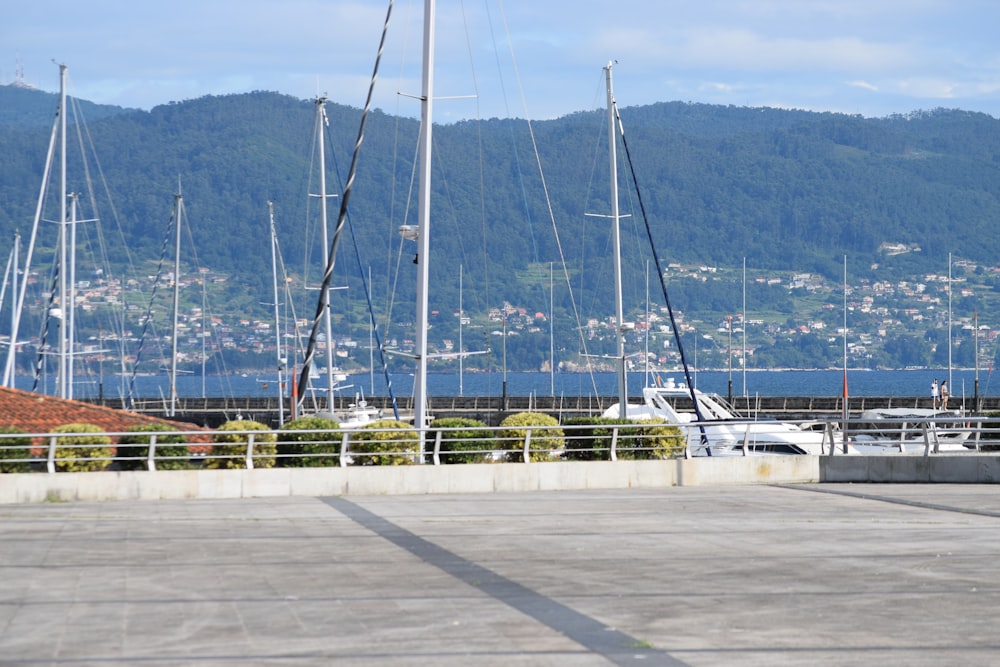 white sail boat on dock during daytime