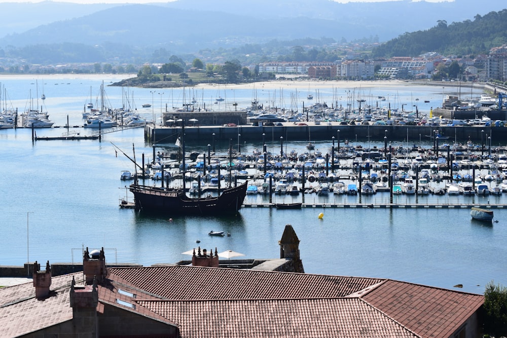 black and white boat on dock during daytime