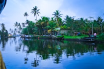 A serene waterbody reflects the silhouettes of tall palm trees and lush green foliage under a clear sky. Small boats are docked along the shore near a small settlement with a few people visible. The scene is tranquil and picturesque, capturing the essence of a tropical waterside village.
