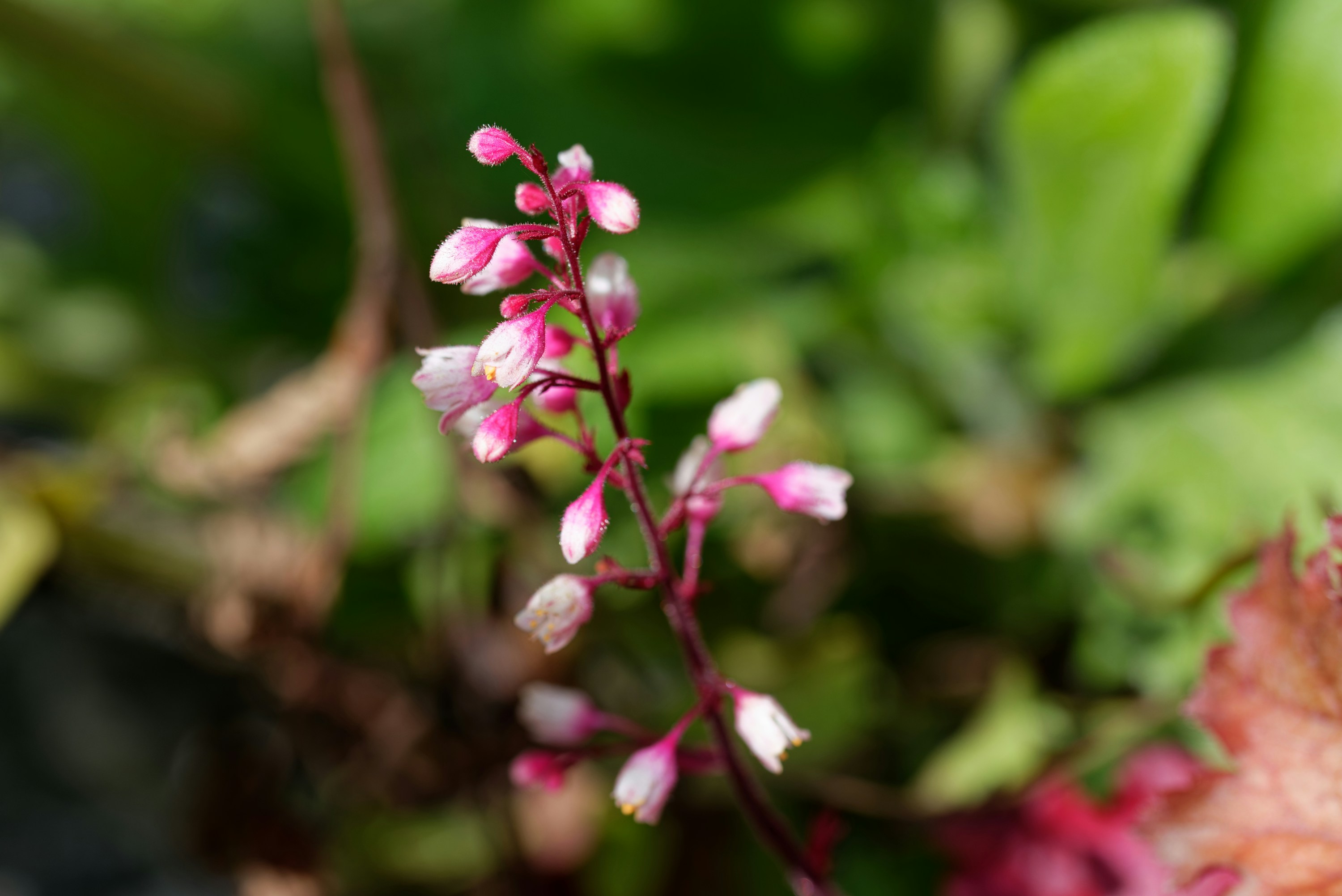 Photo by designbytholen