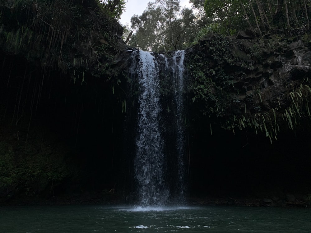 water falls in the middle of the forest