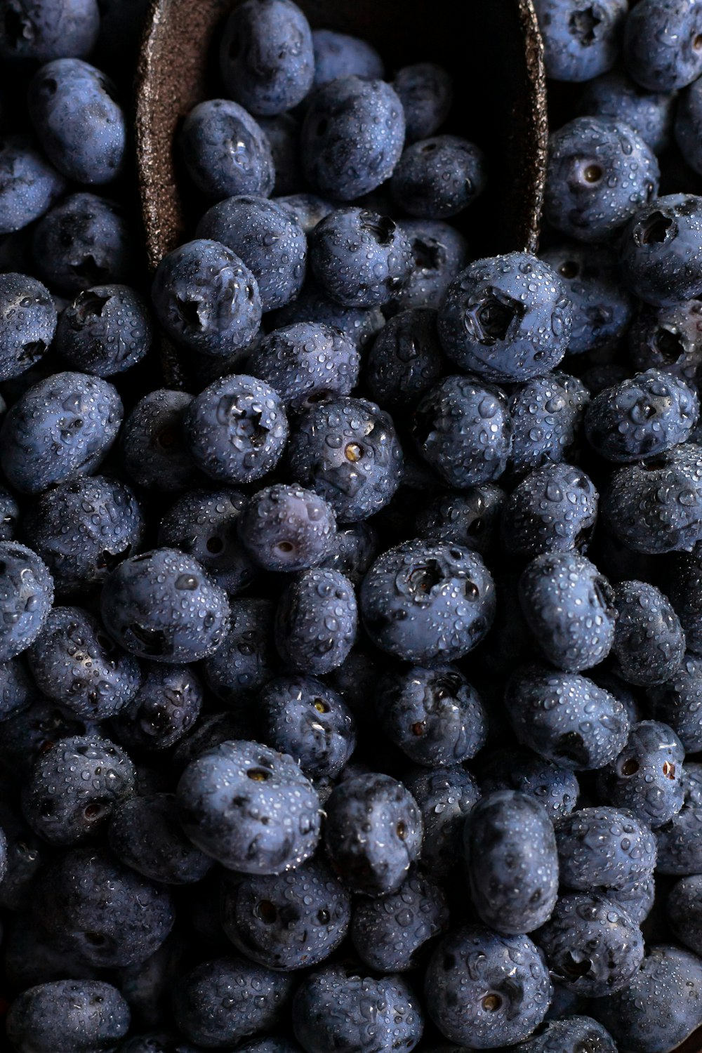 blue berries in close up photography