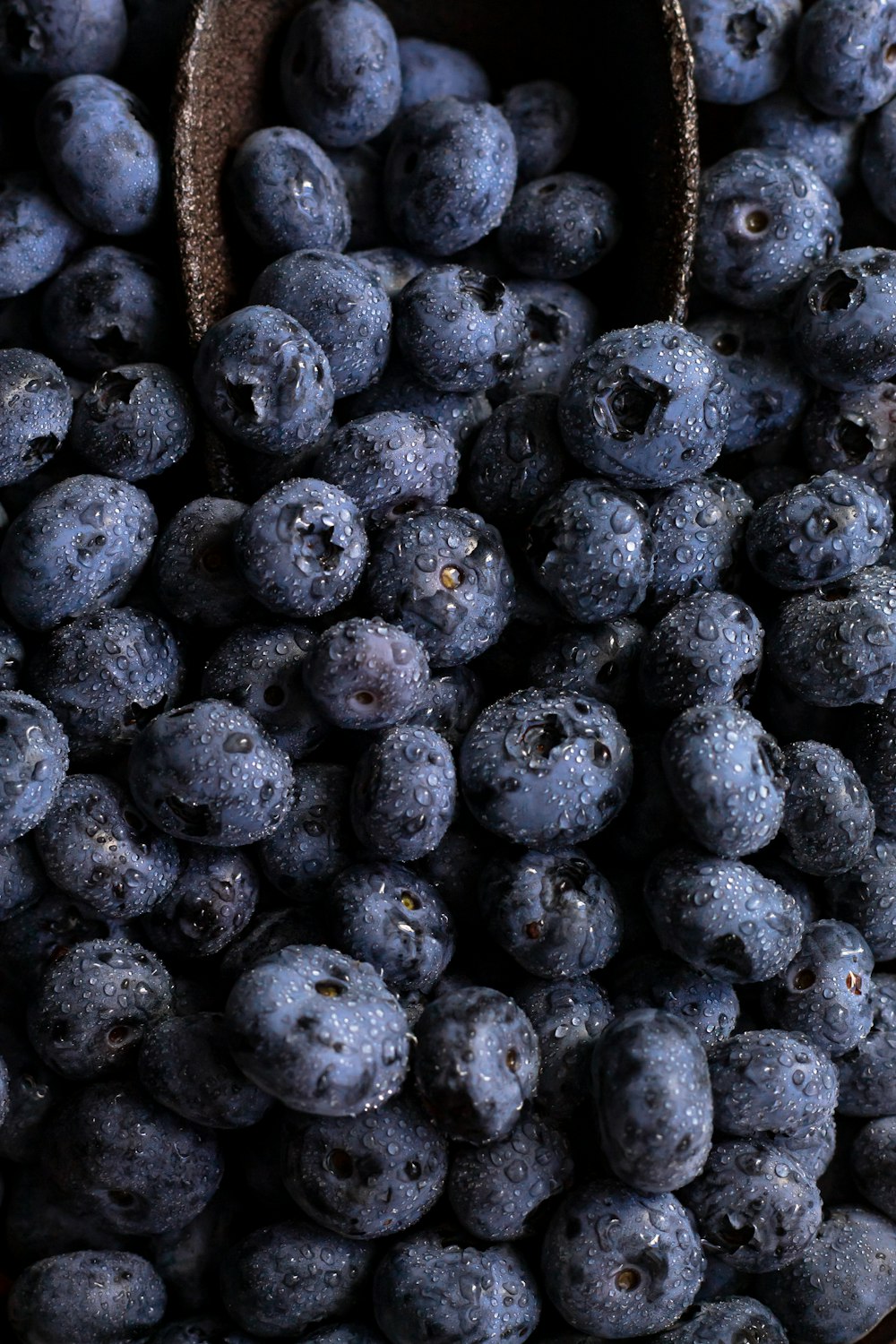 bayas azules en fotografía de primer plano