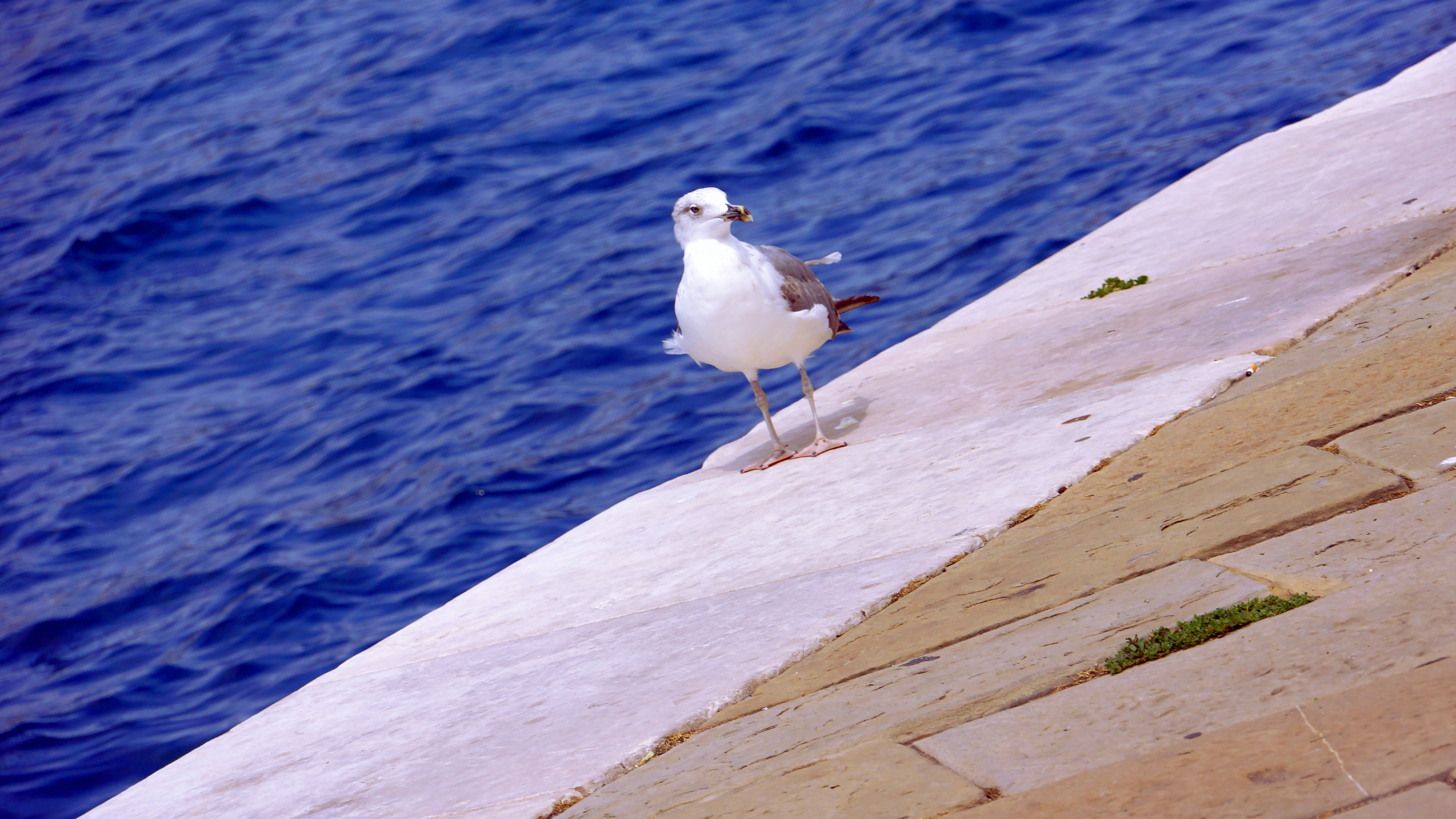 Photo by borisview