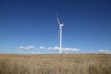 A wind turbine in a field under a blue sky.