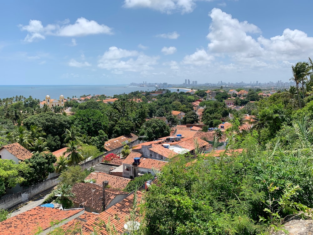 aerial view of city during daytime