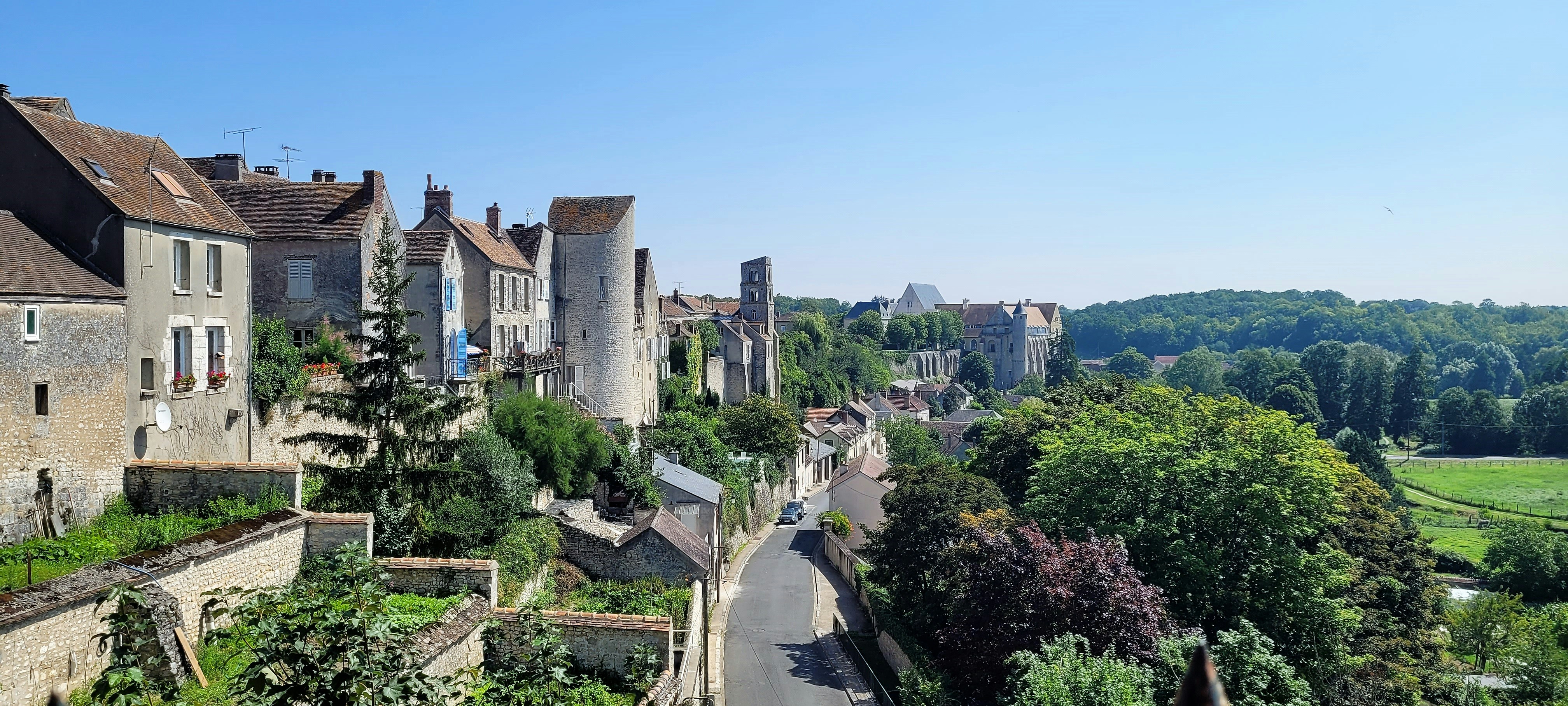 cafard-blattes-75004-Paris-4