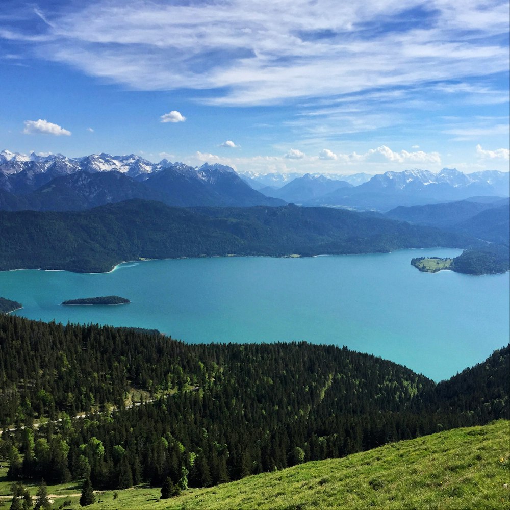 green trees near lake under blue sky during daytime