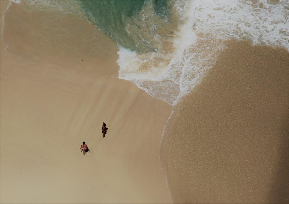 people walking on beach during daytime