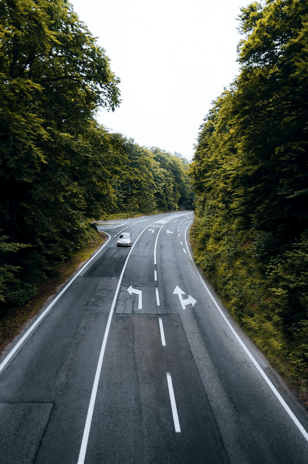 gray concrete road between green trees during daytime