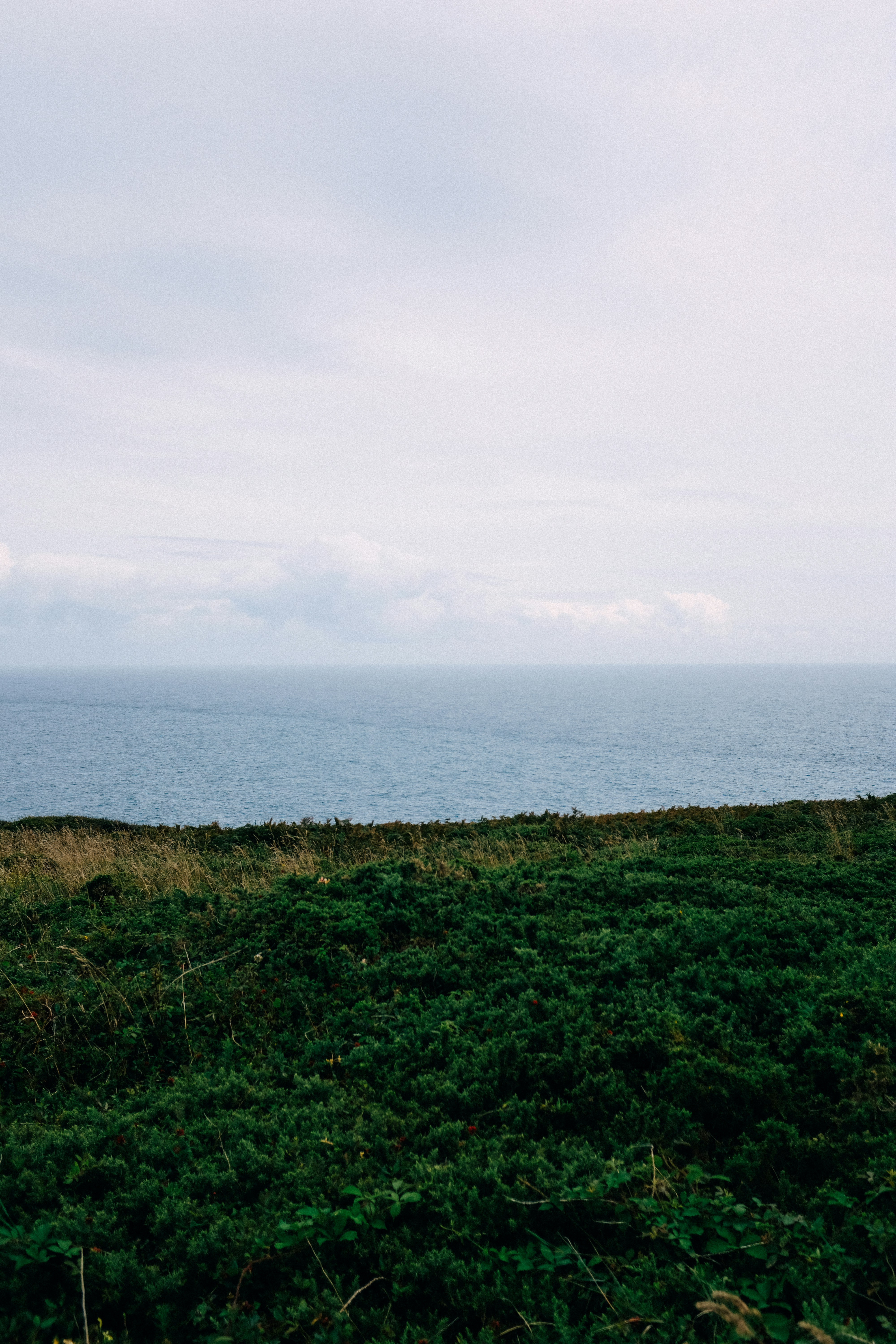 Photo by adrienolichon