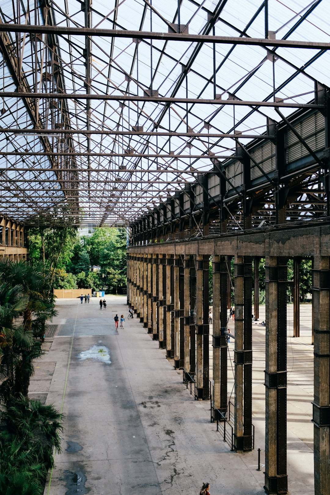 brown wooden bridge with green plants