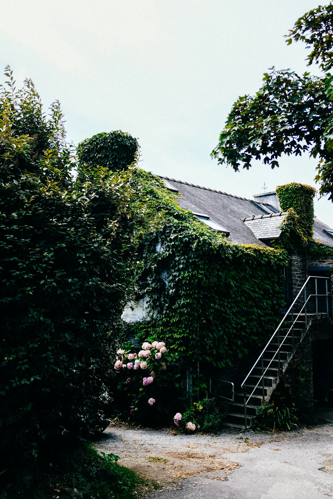 green trees near gray concrete house during daytime