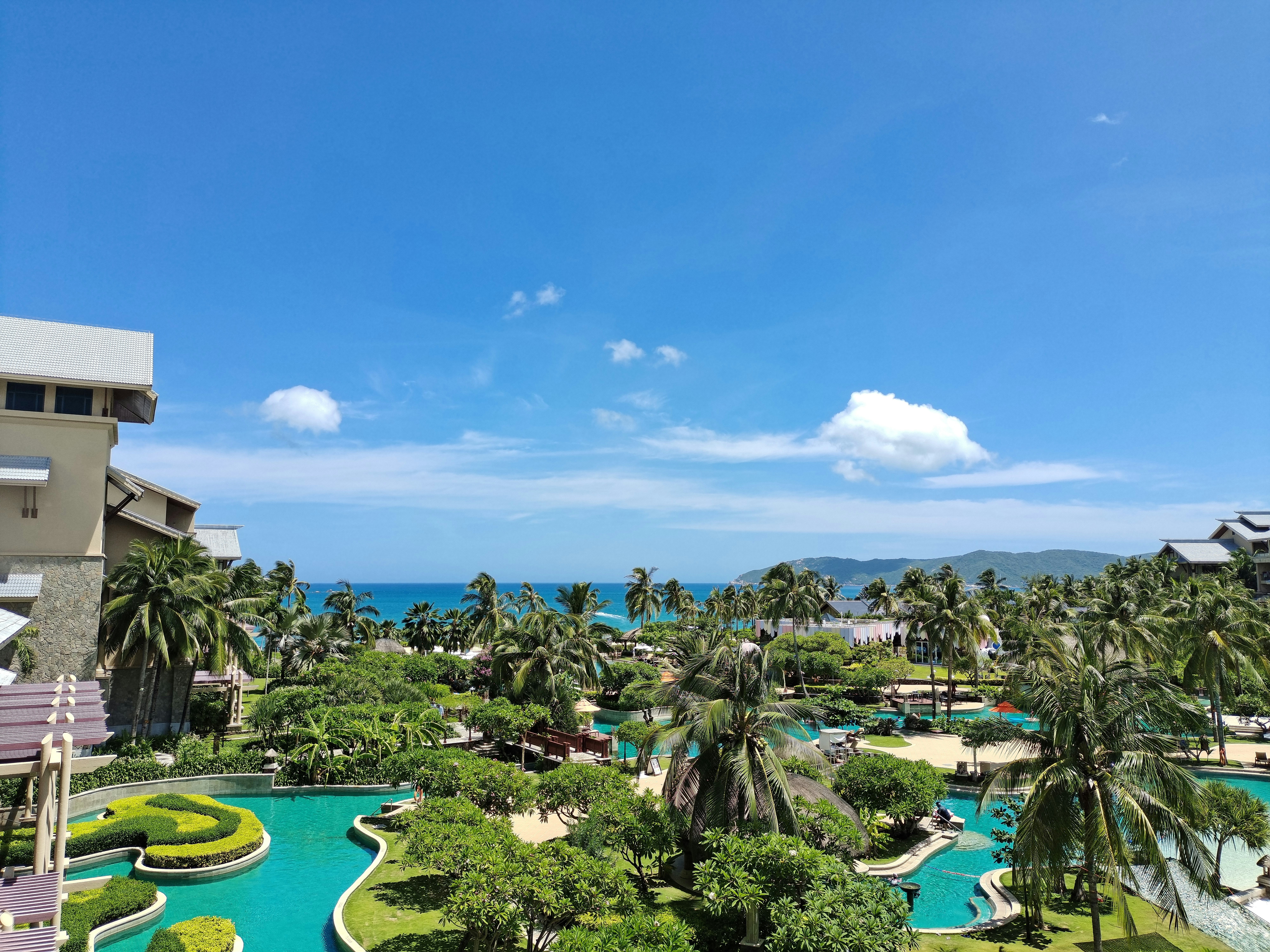 Зелёные деревья и поле с зелёной травой под голубым небом в дневное время