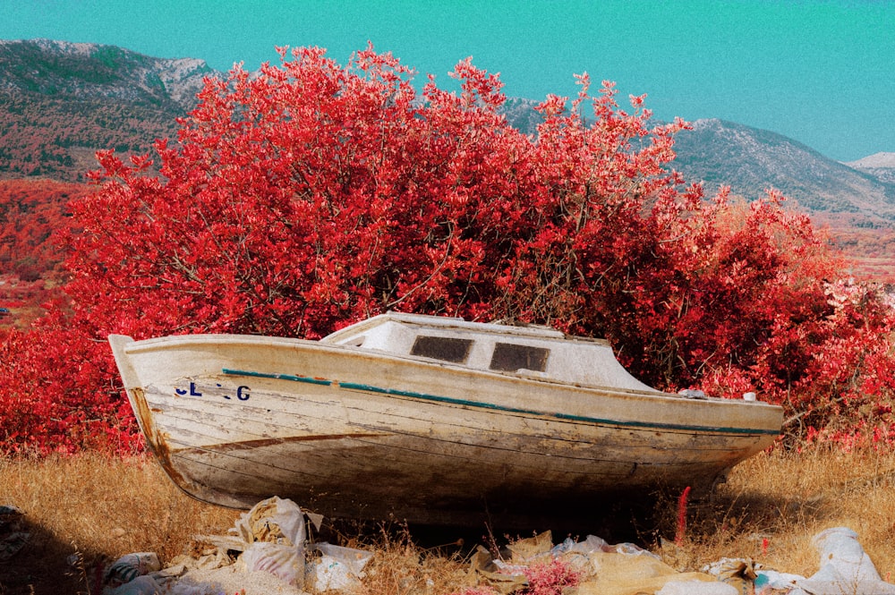 brown and white boat on green grass field during daytime