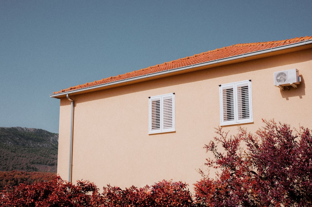 white concrete house with red and green plants