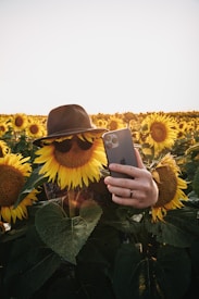A sunflower field during daylight where one sunflower is dressed with sunglasses and a hat, holding a smartphone as if taking a selfie. The surrounding sunflowers are vibrant and face the direction of the camera.