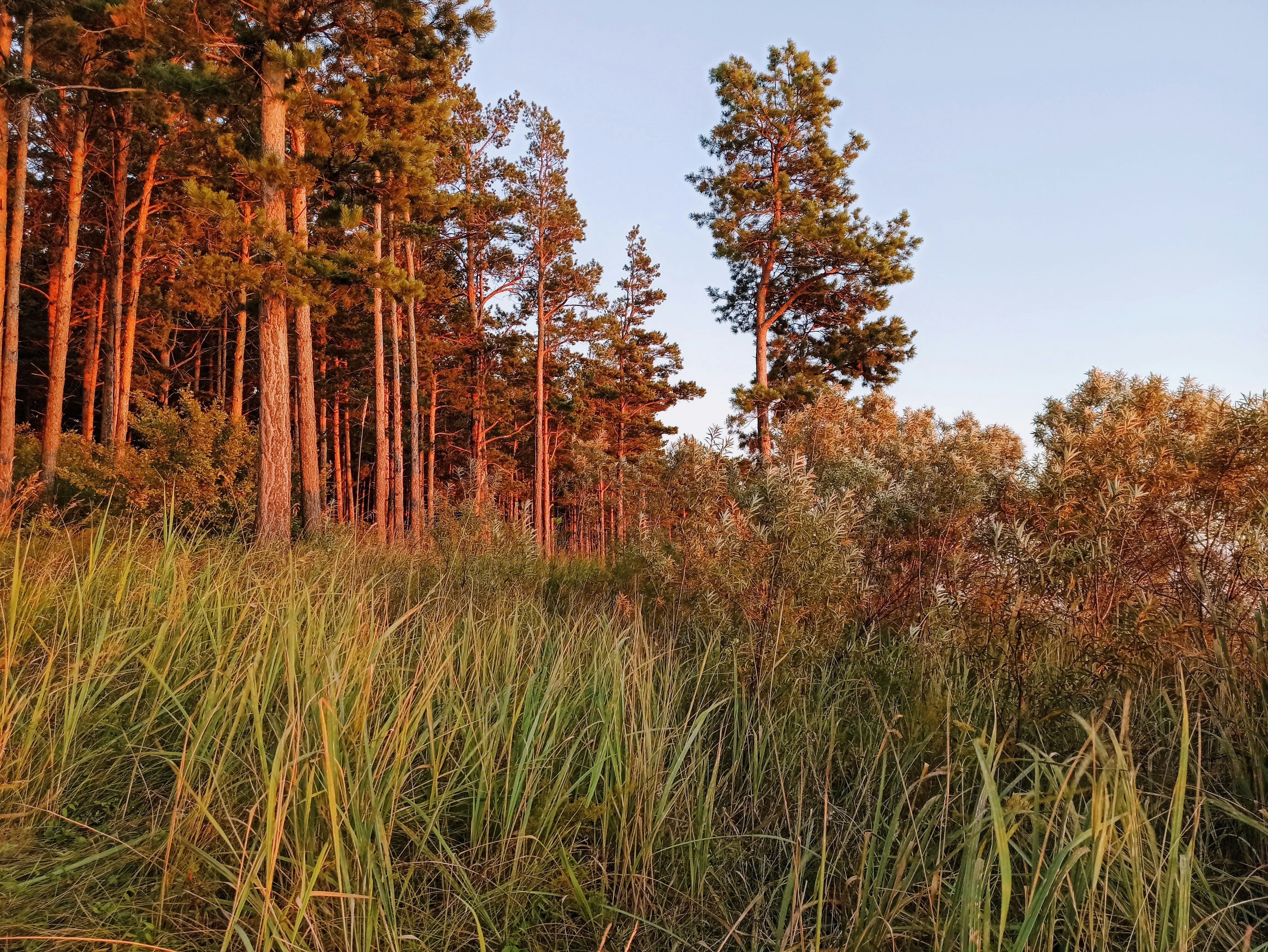 Photo by 28081995_love