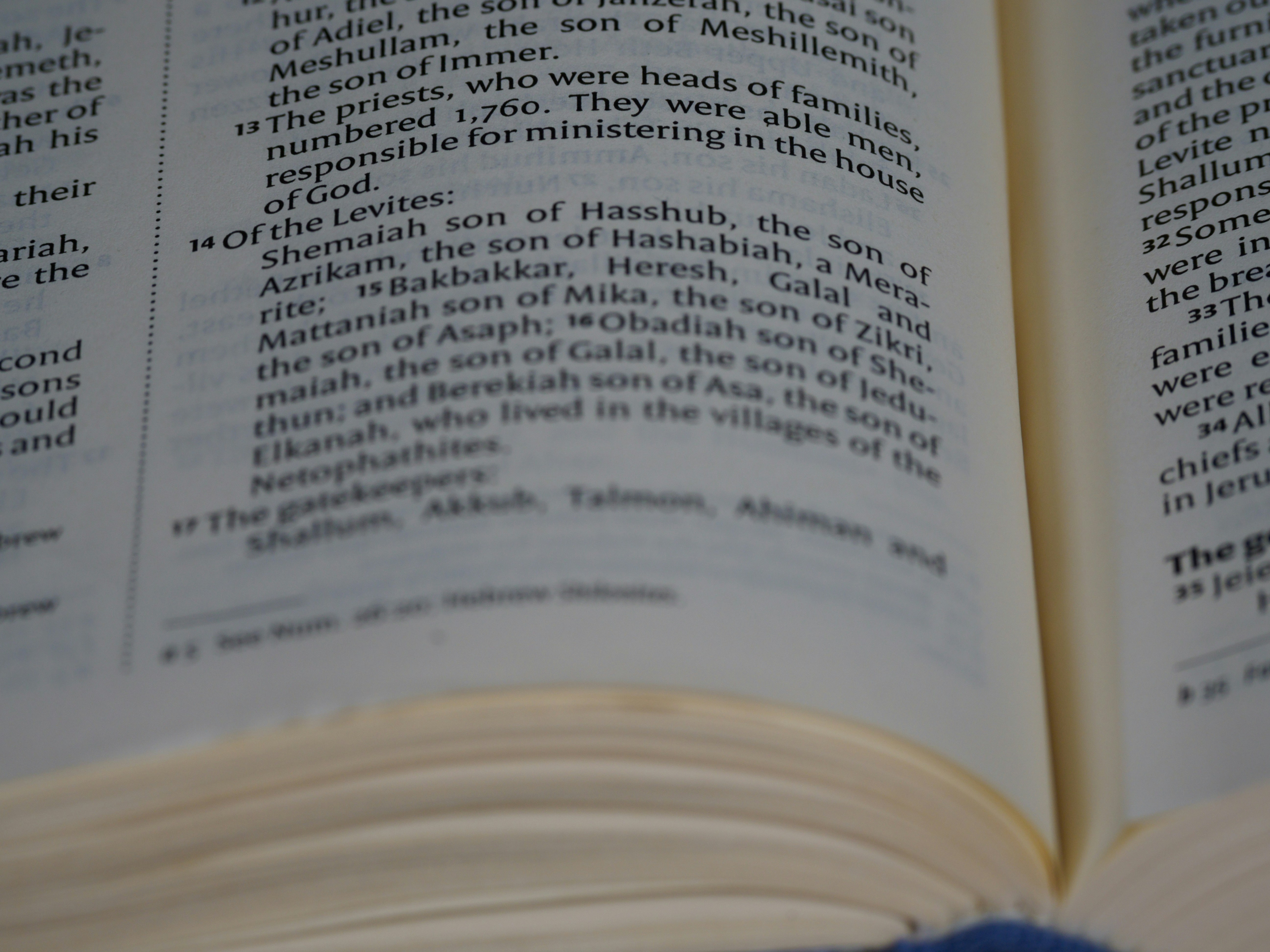 close up, bokeh, macro, blur, blurred background, close focus, bible, old testament, hebrew bible, christian, judaism, history, text, reading, bible study, devotions, text, NIV, New International Version, type, typography, canon, christianity, holy scripture, holy bible, scripture, chronicles, 1 chronicles, דִּבְרֵי־הַיָּמִים, Diḇrê Hayyāmîm, hebrew bible, final book, ketuvim, tanakh, septuagint, Paralipoménōn,  Books of Paralipomenon, first chronicles, historical, 
