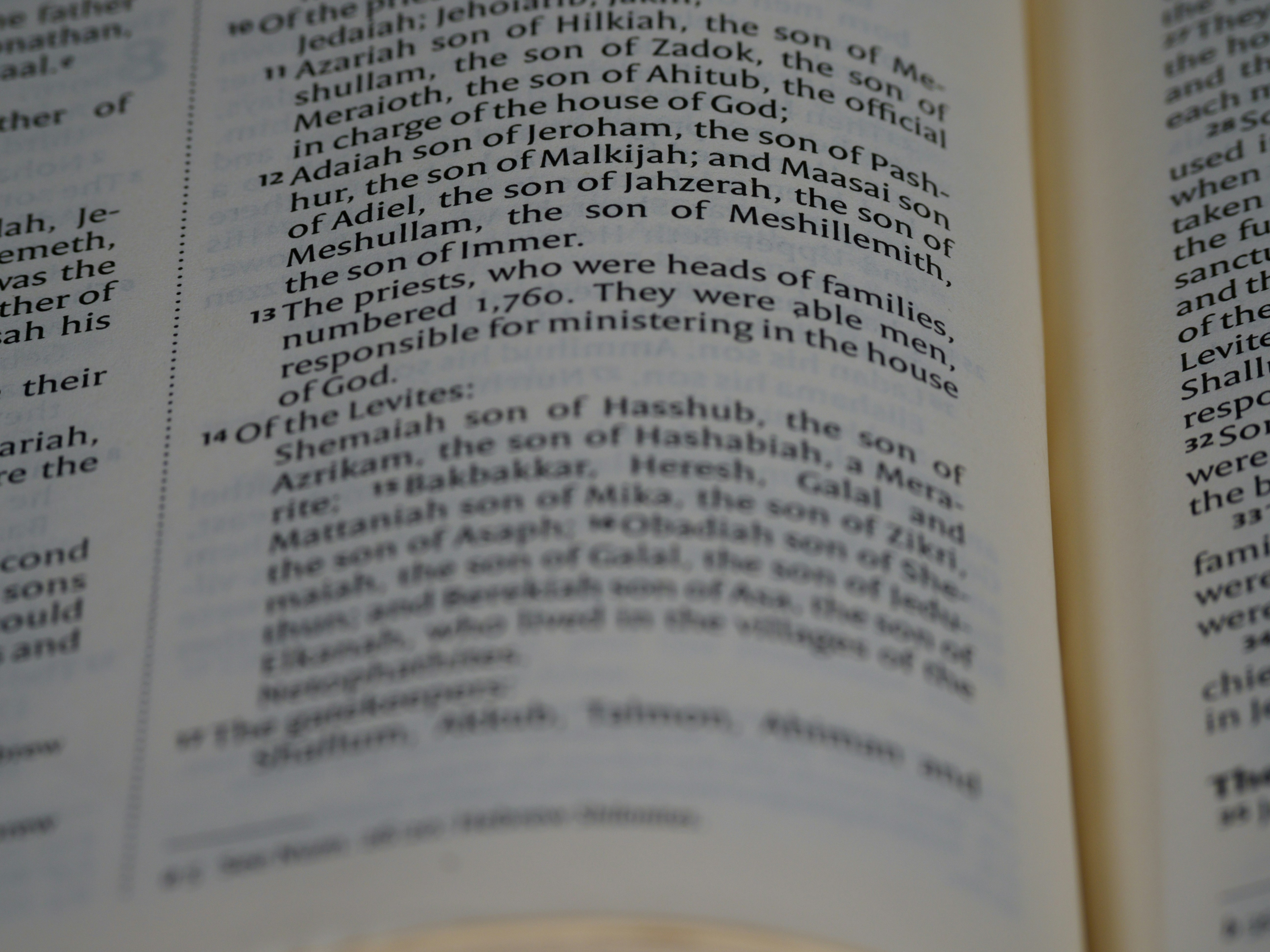 Photo by brett_jordan