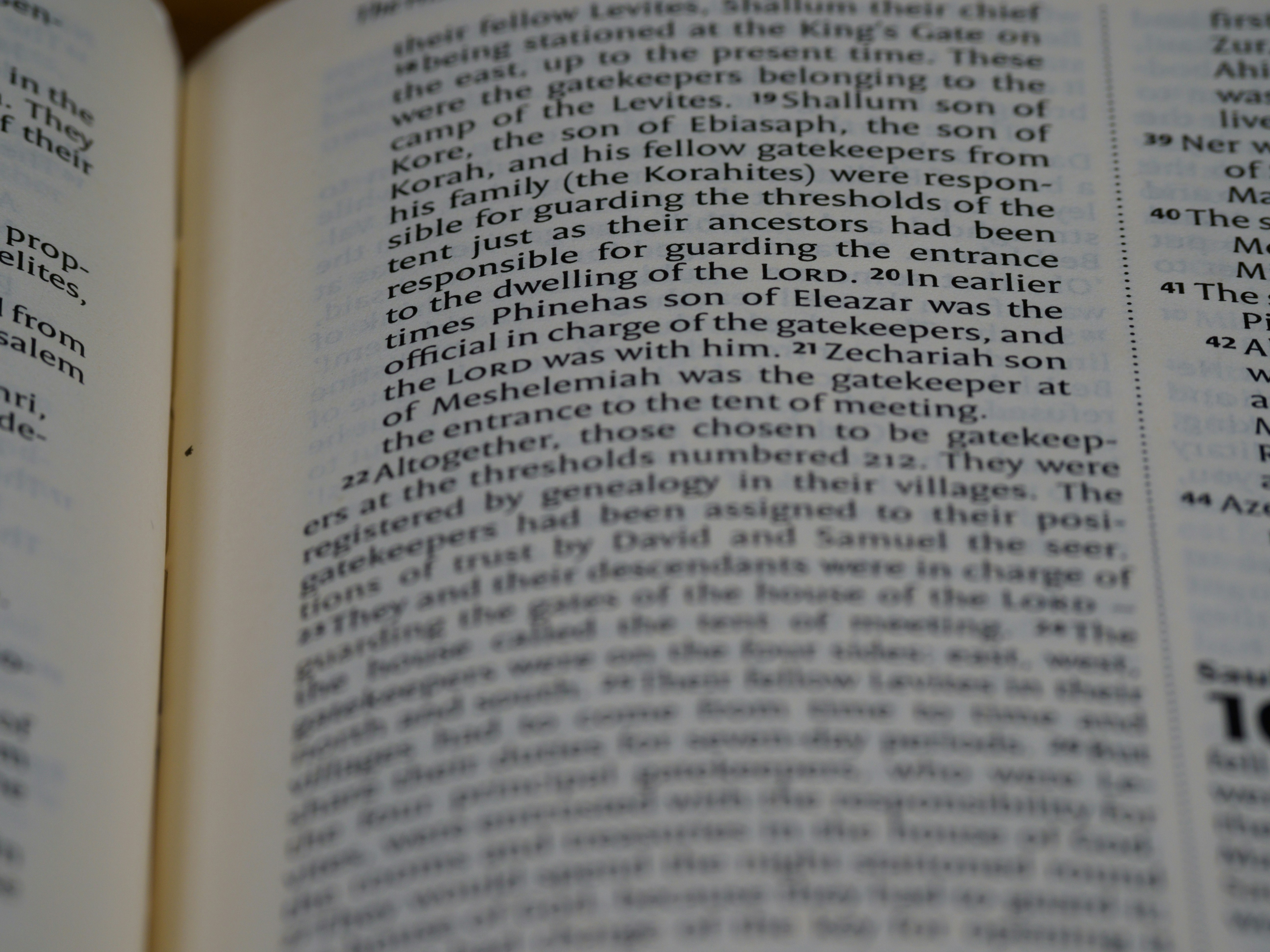 Photo by brett_jordan