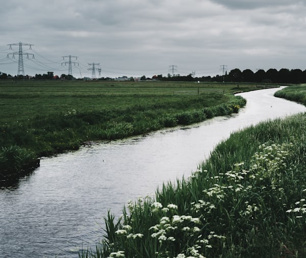 Nederlands leren Noord-Brabant