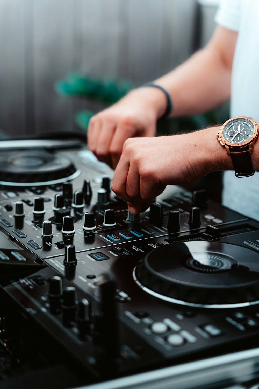 person wearing gold and silver round analog watch