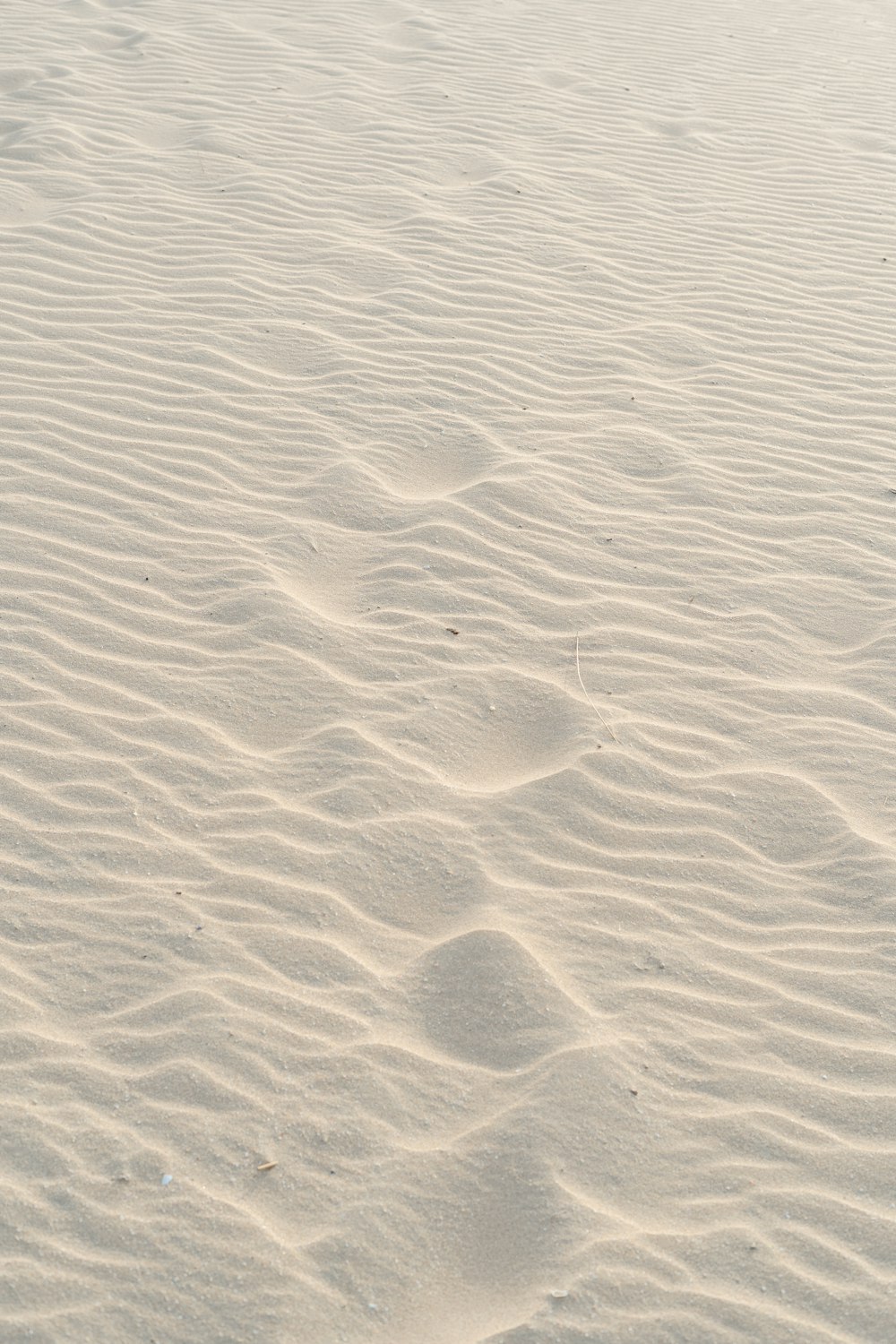 close up photo of brown sand